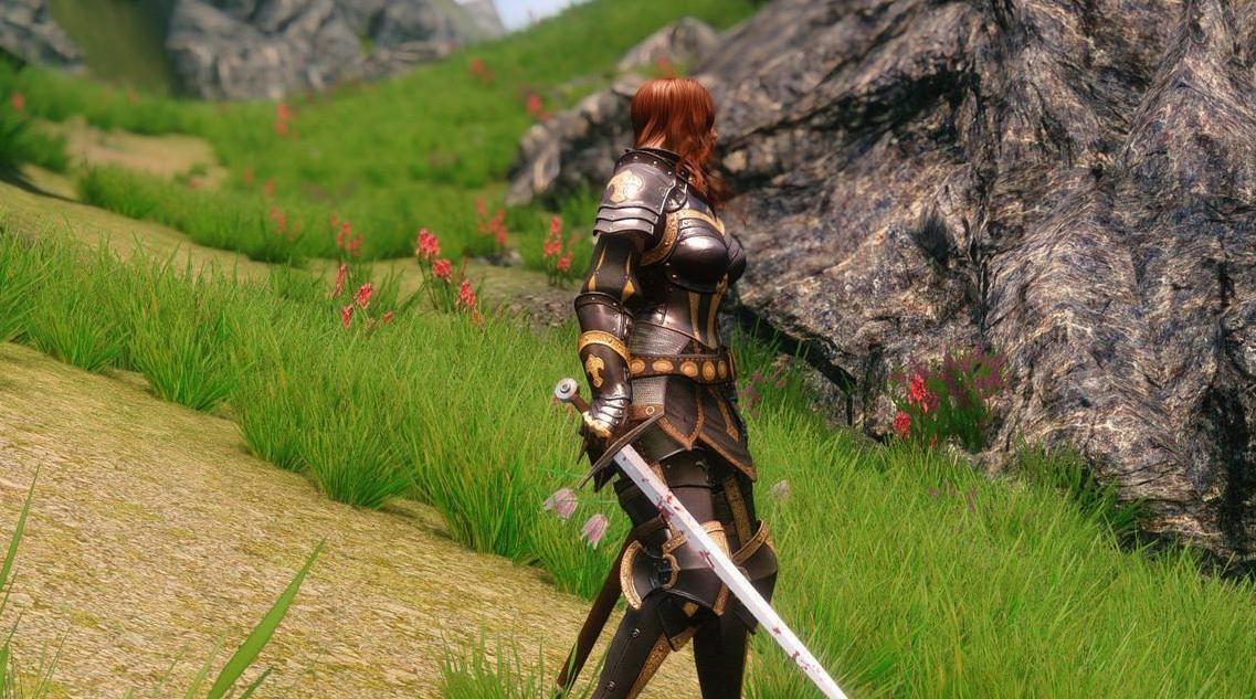 上古卷轴5神佑护甲MOD下载