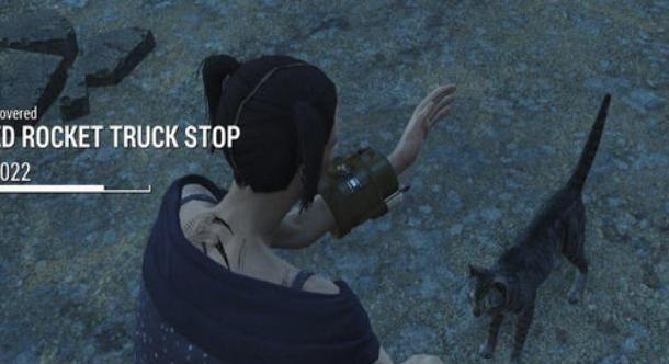 辐射4宠物猫MOD下载