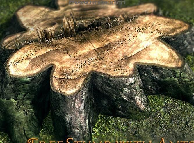 上古卷轴5：天际 28种新昆虫和新材料MOD下载+安装说明