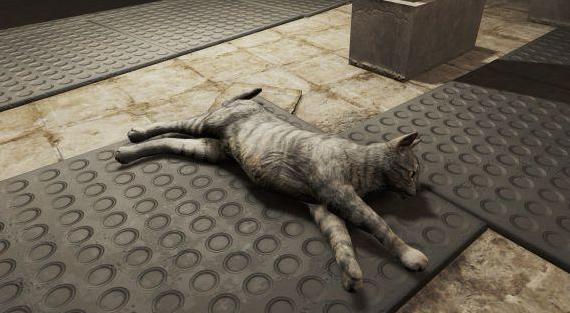 辐射4猫咪增强MOD下载