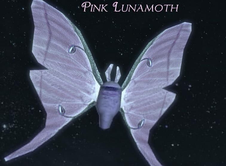 上古卷轴5：天际28种新昆虫和新材料MOD下载