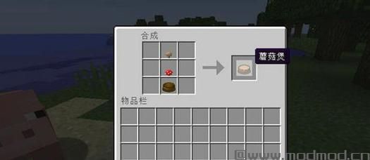 我的世界v1.10.2真实的物品MOD下载