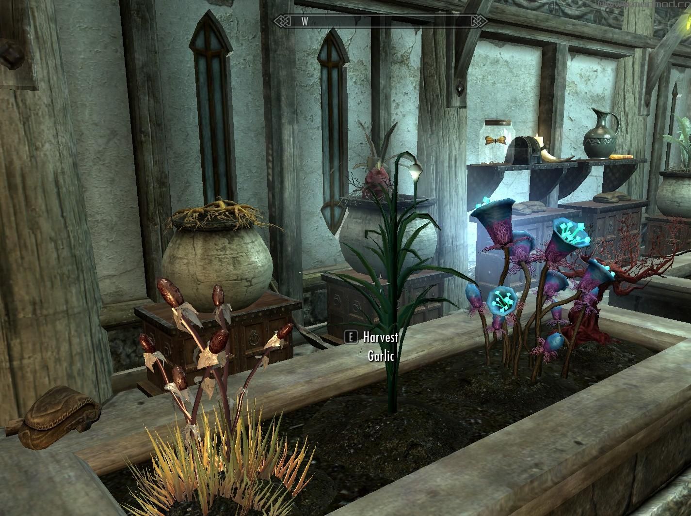 上古卷轴5：天际重制版 更多可种植植物MOD下载+安装说明