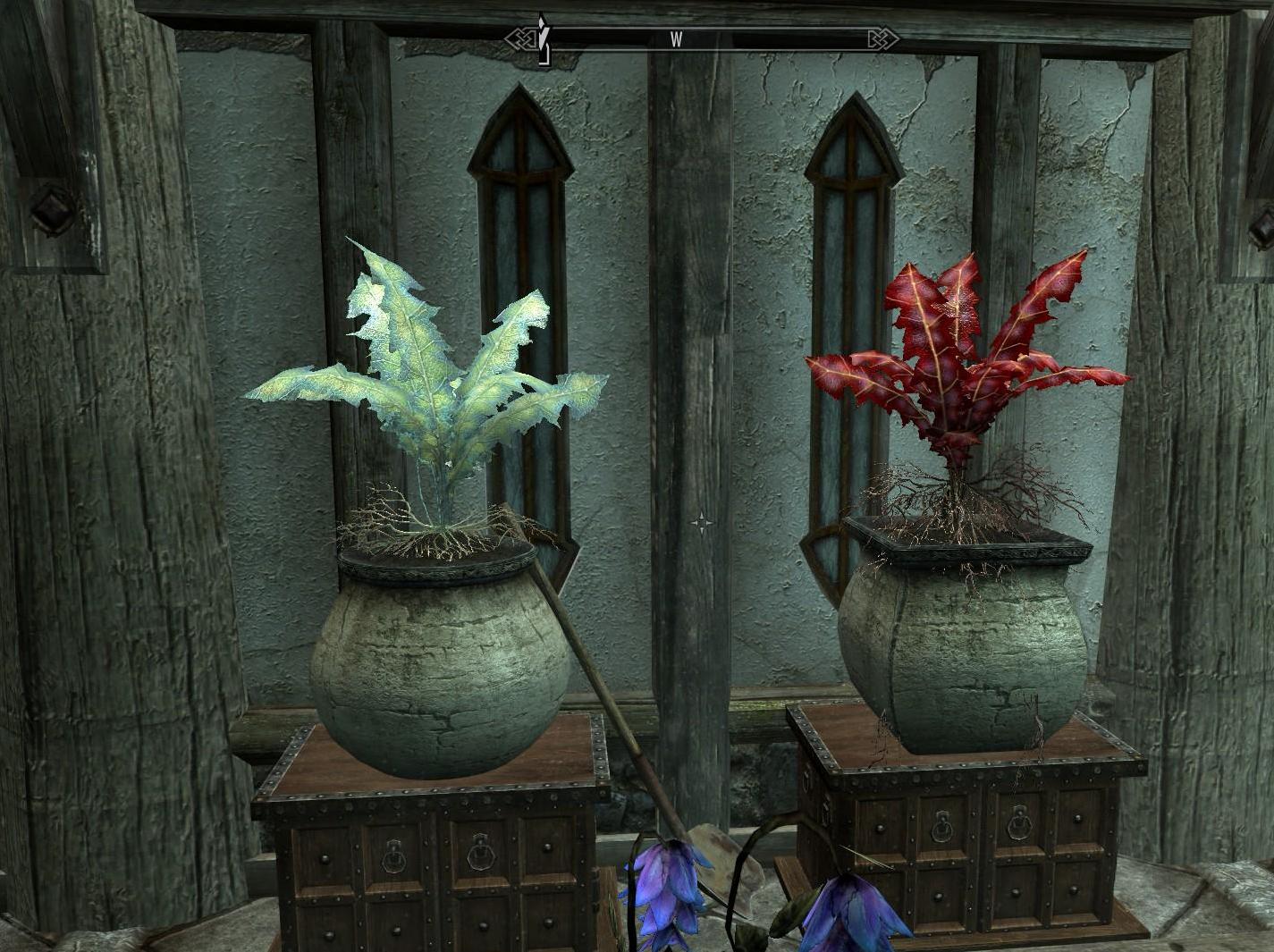上古卷轴5：天际重制版更多可种植植物MOD下载