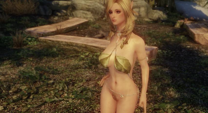 上古卷轴5妖精內衣MOD下载