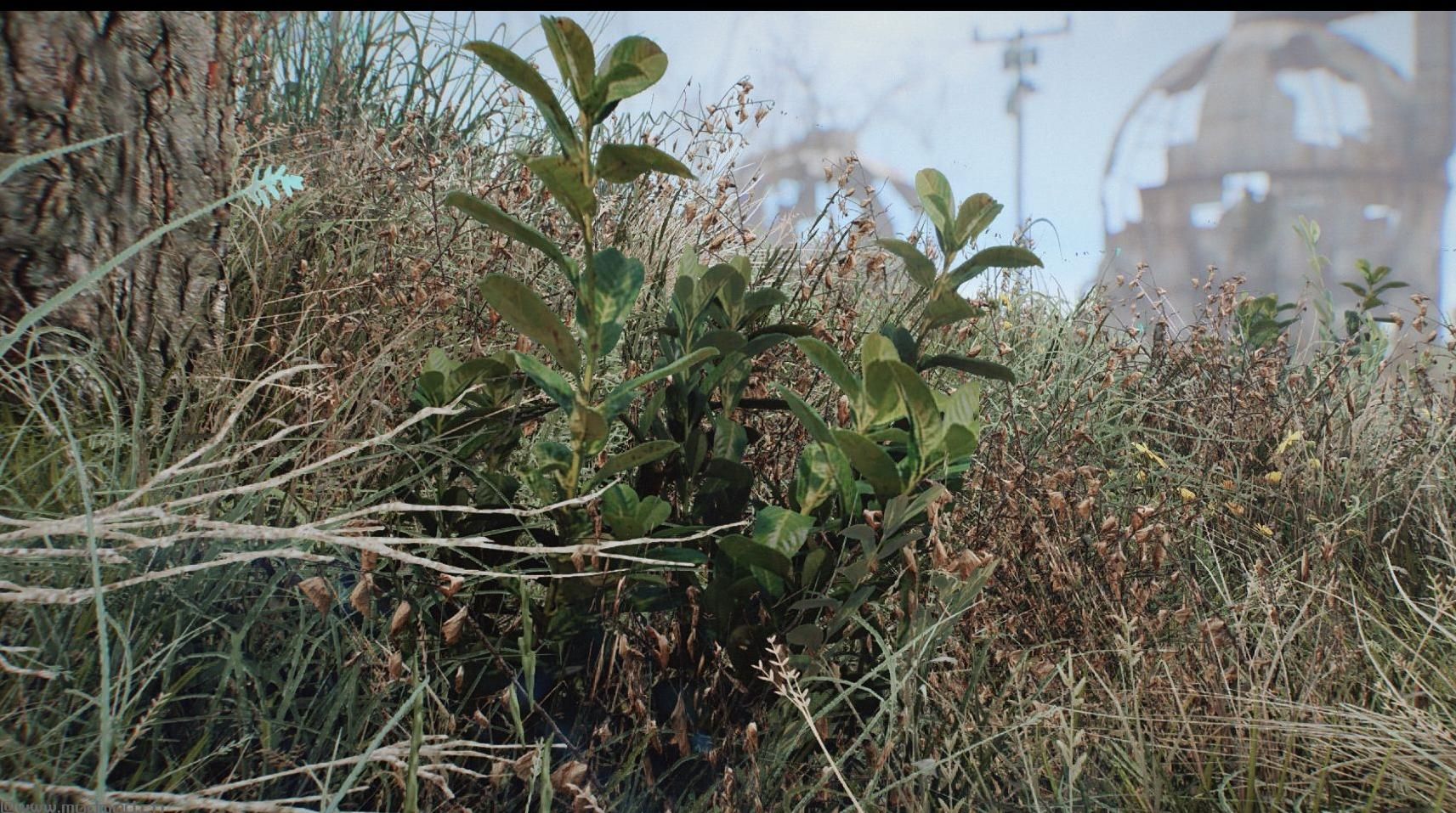 辐射4真实的草MOD下载