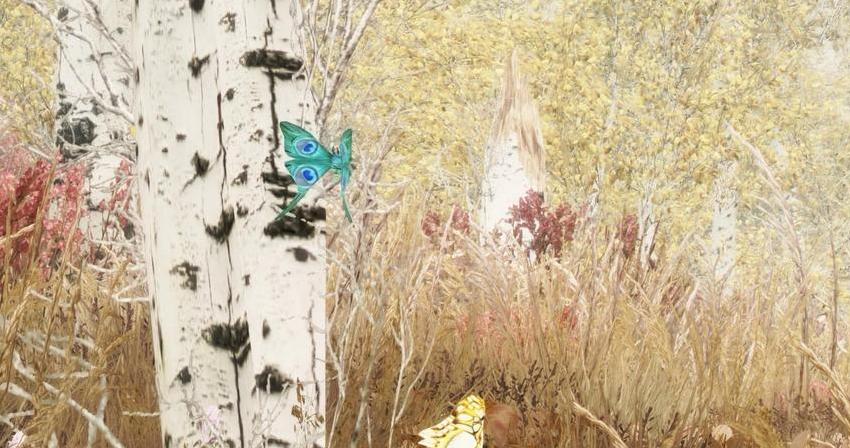 上古卷轴5漂亮的昆虫MOD下载