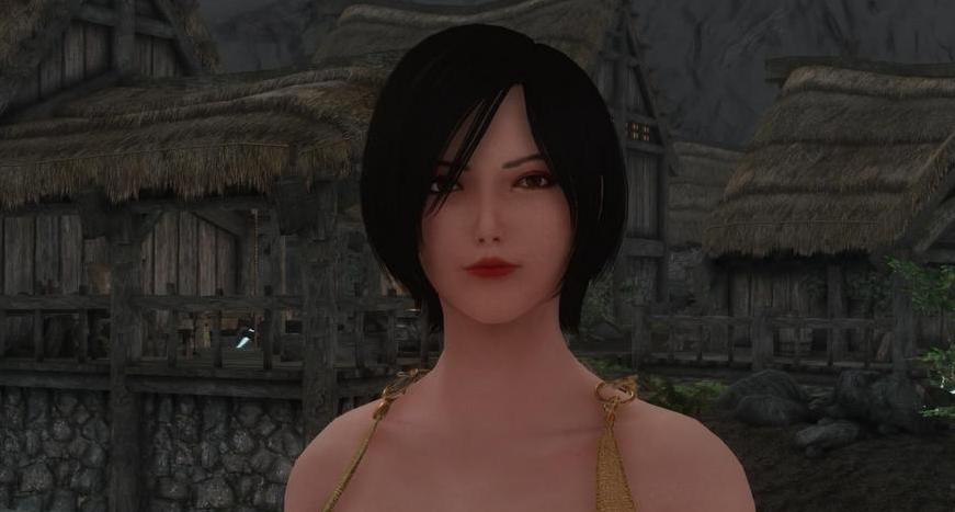 上古卷轴5生化6的艾达随从MOD下载
