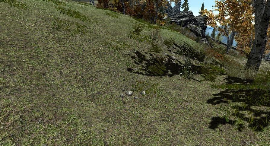 上古卷轴5无关紧要的物品去除MOD下载