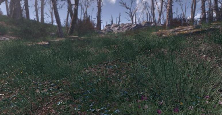 辐射4比较舒服的到草地MOD下载