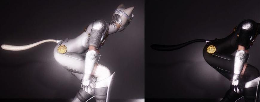 上古卷轴5 黑白猫女服装MOD下载+安装说明