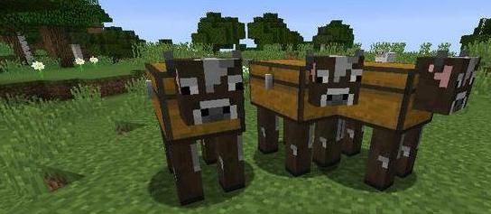我的世界 1.11.2 箱子牛MOD下载+安装说明