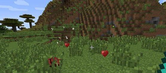 我的世界 1.7.2 生命掉落MOD下载+安装说明