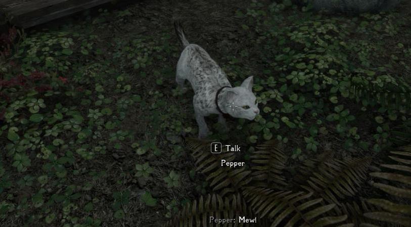 上古卷轴5：天际重置版 天际野猫MOD下载+安装说明