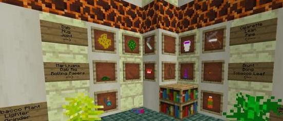 我的世界 1.10.2 丰富药物MOD下载+安装说明