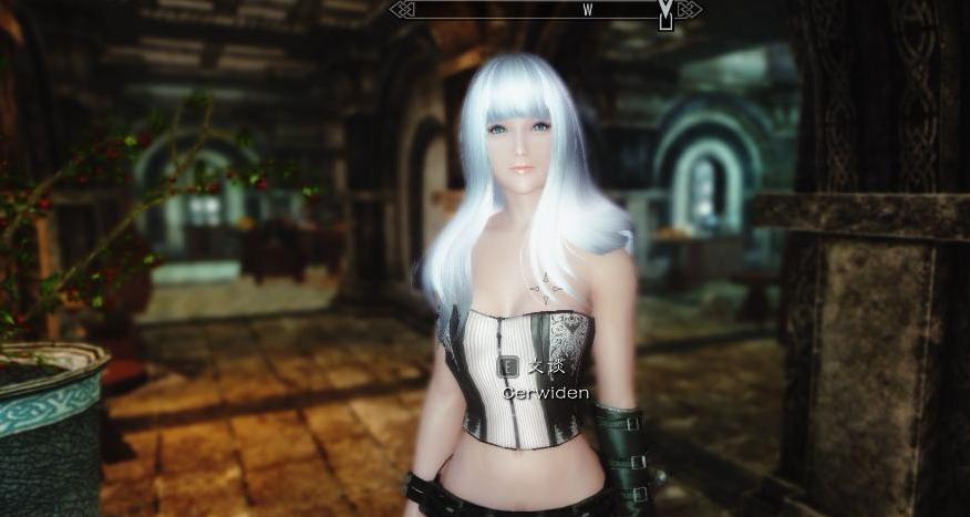 上古卷轴5：天际重置版 治愈祭祀赛薇迪安MOD下载+安装说明