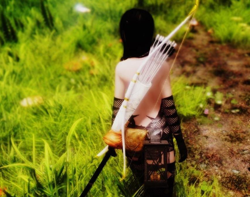 上古卷轴5 整装待发MOD下载+安装说明