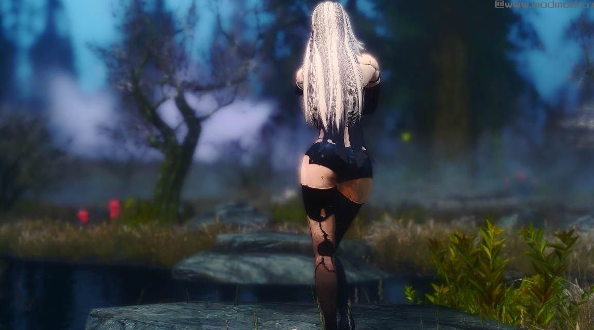 上古卷轴5：天际重制版 2B/A2小姐姐MOD下载+安装说明