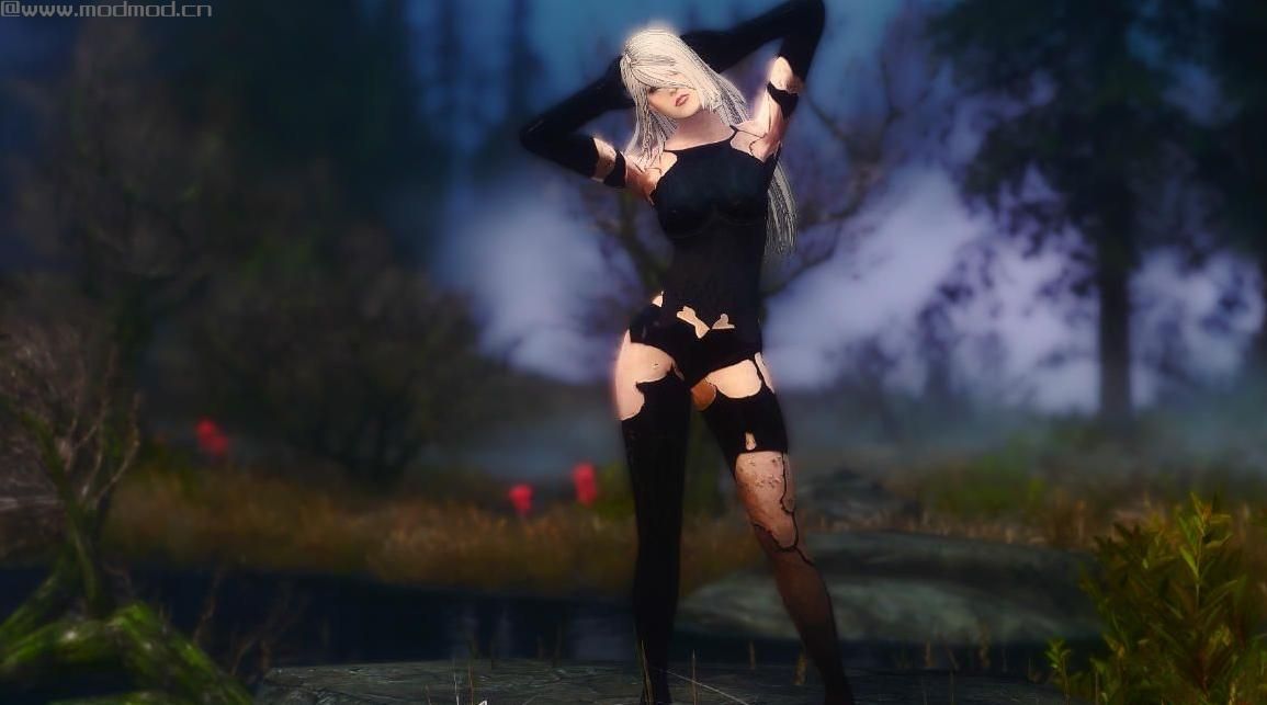 上古卷轴5：天际重制版 2B/A2小姐姐MOD下载+安装说明