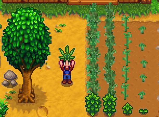 星露谷物语 瘾君子植物MOD下载+安装说明