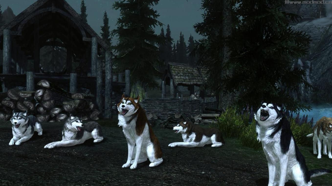 上古卷轴5 哈士奇随从MOD下载+安装说明