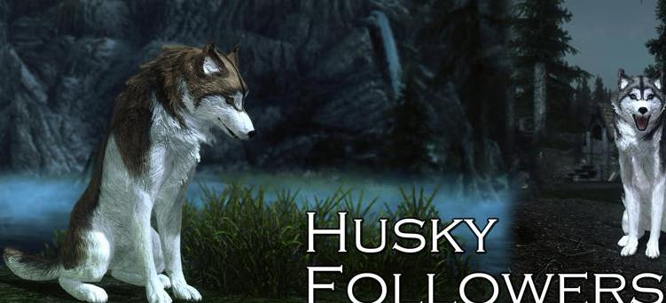 上古卷轴5 哈士奇随从MOD下载+安装说明