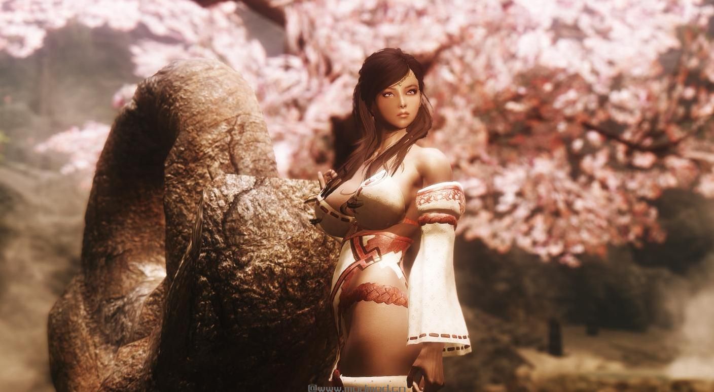 上古卷轴5 魔剑士姐姐惠MOD下载+安装说明