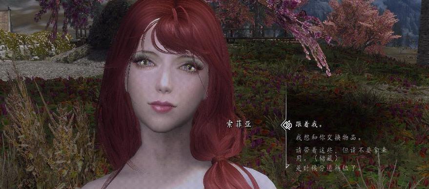 上古卷轴5：天际重制版 索菲亚MOD下载+安装说明
