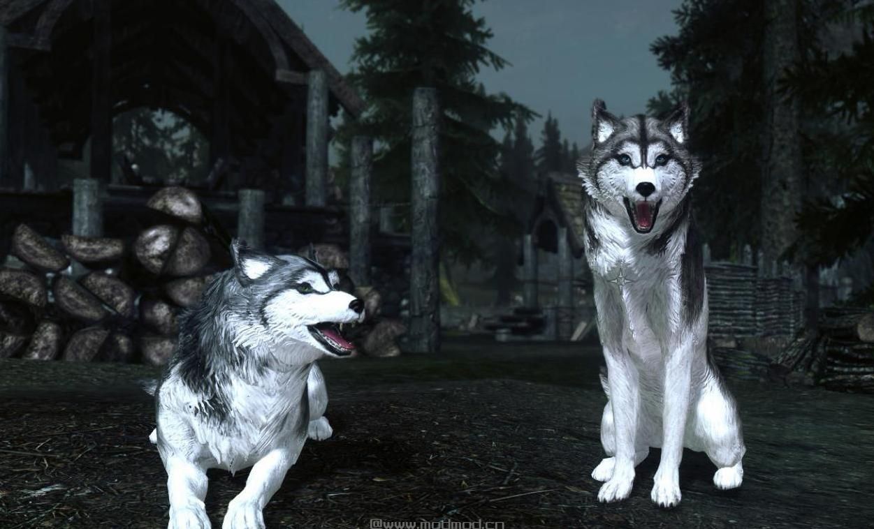 上古卷轴5 哈士奇随从MOD下载+安装说明