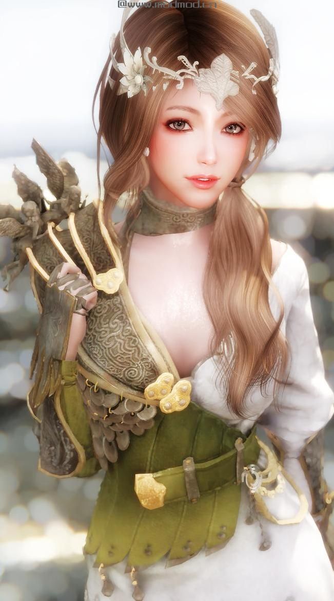 上古卷轴5 莱迪雅朱蒂斯伊欧娜韩女团随从MOD下载+安装说明