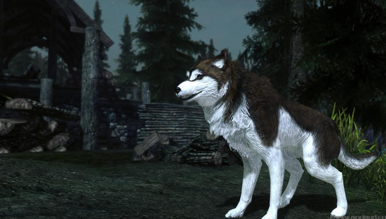 上古卷轴5 哈士奇随从MOD下载+安装说明