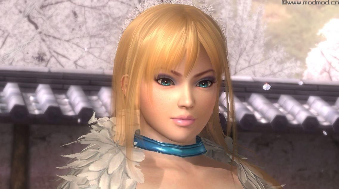 死或生5：最后一战 靓丽化妆之AYANE MOD[DLC版]下载+安装说明
