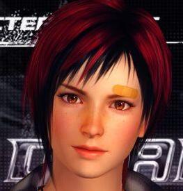 死或生5：最后一战 米拉美化MOD[DLC版]下载+安装说明