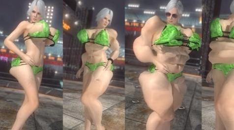 死或生5：Christie Body Mod下载+安装说明