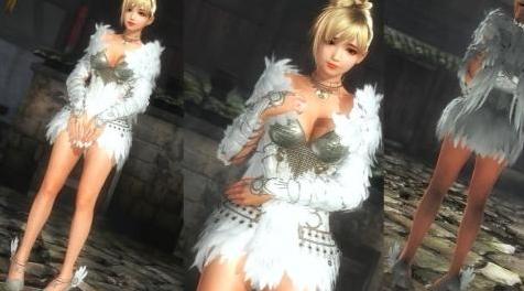 死或生5：FEATHER ARMOR下载+安装说明