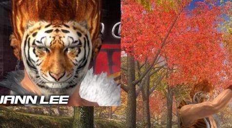 死或生5：Jann Lee Tiger下载+安装说明