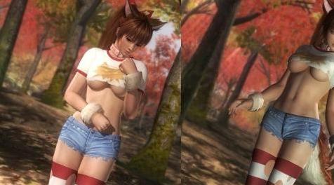 死或生5：Kasumi Fox With No Paws下载+安装说明