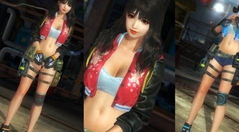 死或生5：MIYA下载+安装说明