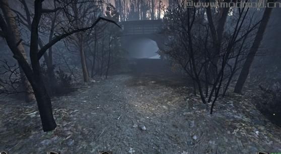 求生之路2MOD：迷幻乐队的森林下载+安装说明