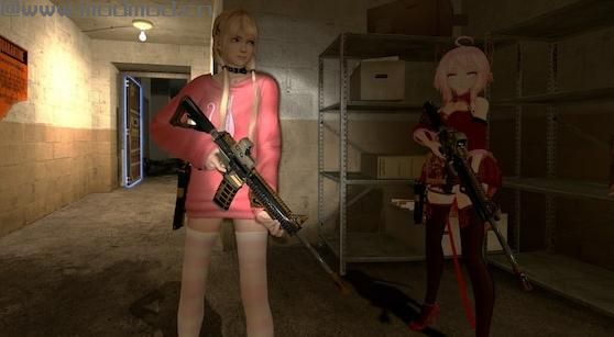 求生之路2MOD：玛丽 · 罗斯-仆人猫(无名)[弗朗西斯]下载+安装说明