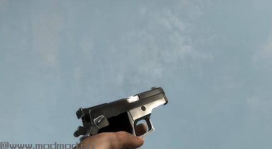 求生之路2MOD：双p 220的[固定]下载+安装说明