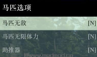 荒野大镖客2 NativeTrainer 内置修改器 简体中文 汉化版  MOD下载+安装说明