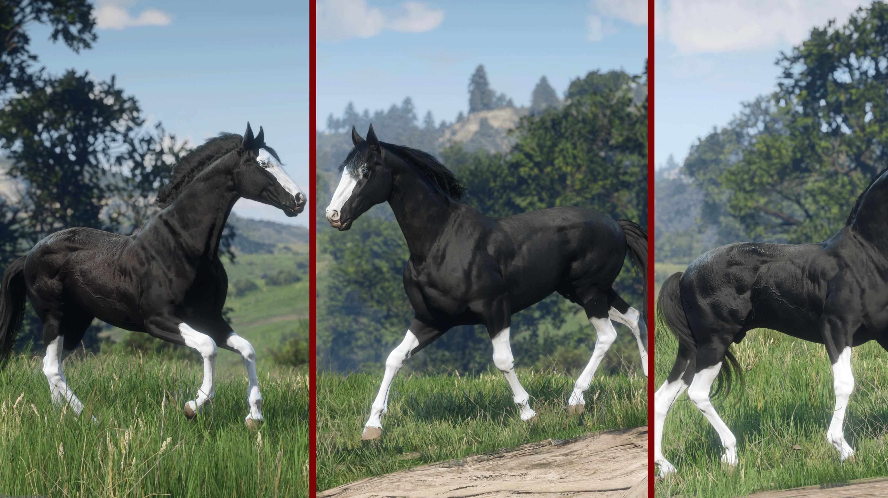 荒野大镖客Mod：Thoroughbreds Pack ~（替换纯血马-血骝色）下载+安装说明