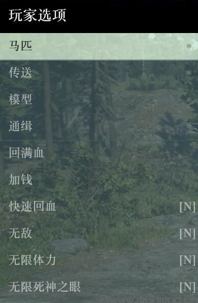 荒野大镖客2 NativeTrainer 内置修改器 简体中文 汉化版  MOD下载+安装说明