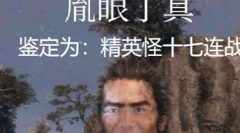 只狼：精英怪二十连战MODmod下载+安装说明