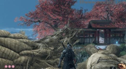 Sekiro 2.01（画面预设）下载+安装说明