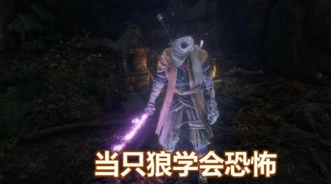 只狼：可以吓死敌人的MODmod下载+安装说明