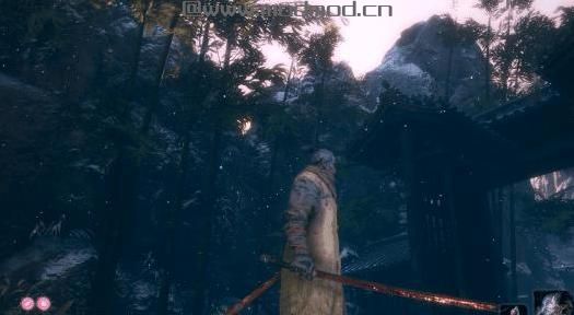 只狼：Sekiro Beggar外套mod下载+安装说明