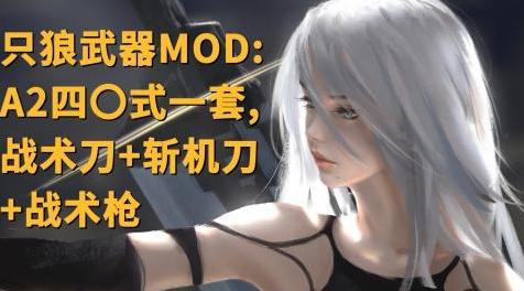 只狼：A2四〇式武器一套（楔丸+2把不死斩+机关长枪全部）mod下载+安装说明