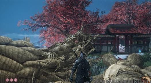 Sekiro 2.01（画面预设）下载+安装说明